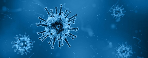 SARS-COV-2-важная информация SARS-COV-2-важная информация